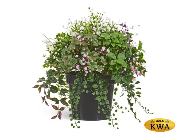 Цветущее разнотравье куст в-50 см, д-55 см 2/2