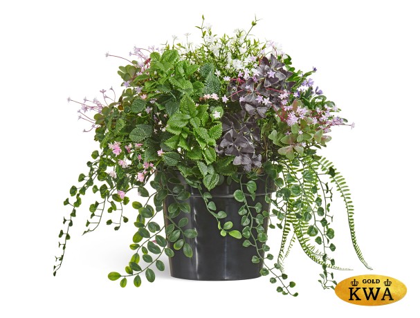 Цветущее разнотравье куст в-50 см, д-55 см 2/2