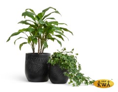 Кашпо TREEZ ERGO Nature Чаша Антрацит д-44, в-45 см