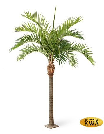 Гигантская Финиковая пальма 4,2 м (сборная)