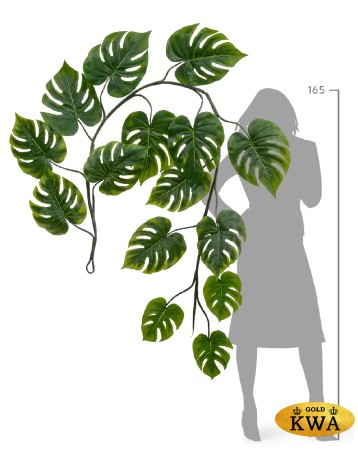 Монстера лиана дл-240 см 15 листов (Sensitive Botanic) 6/24