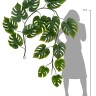 Монстера лиана дл-240 см 15 листов (Sensitive Botanic) 6/24
