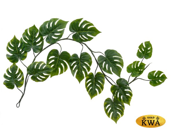 Монстера лиана дл-240 см 15 листов (Sensitive Botanic) 6/24