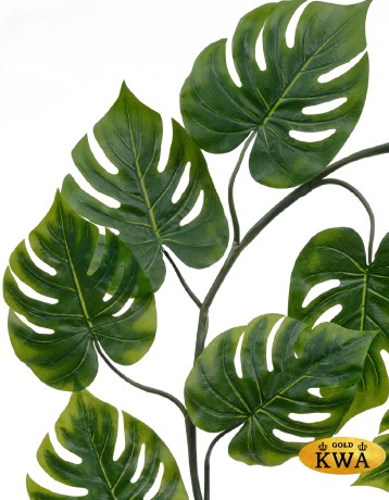 Монстера лиана дл-240 см 15 листов (Sensitive Botanic) 6/24