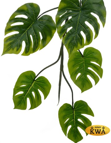 Монстера лиана дл-240 см 15 листов (Sensitive Botanic) 6/24