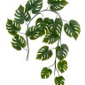 Монстера лиана дл-240 см 15 листов (Sensitive Botanic) 6/24