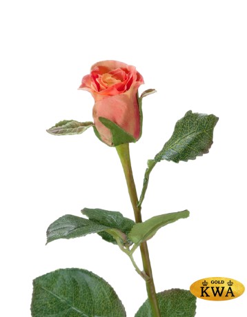 Роза Анабель персик-роз в-52 см, в-4,д-3 см 12/144