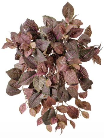 Фиттония Свит ампельная зелёно-розовая (174 листа) в-40 см 12/96