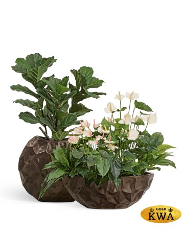 Кашпо TREEZ Effectory Metal Высокая лодка Design Crumple Чернёная бронза в-26, ш-35, дл-69 см