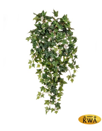 Английский плющ Новый (262 листа) в-70 см 6/48