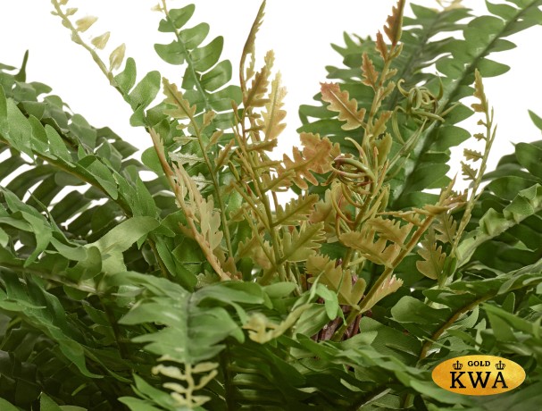 Папоротник Бостон Новый натуральный зеленый  в-20 см, д-50 см (23 листа) 12/144