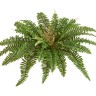 Папоротник Бостон Новый натуральный зеленый  в-20 см, д-50 см (23 листа) 12/144