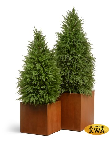 Кашпо TREEZ Effectory Corten Steel Куб 30х30х30 см