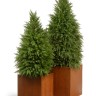 Кашпо TREEZ Effectory Corten Steel Куб 30х30х30 см