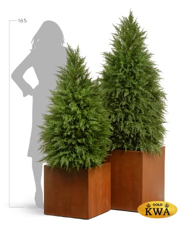 Кашпо TREEZ Effectory Corten Steel Куб 30х30х30 см