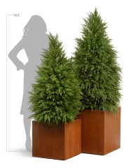 Кашпо TREEZ Effectory Corten Steel Куб 30х30х30 см