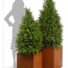 Кашпо TREEZ Effectory Corten Steel Куб 30х30х30 см
