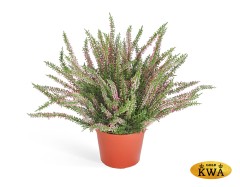 Эрика (вереск) куст большой (пластик) нежно-розовый в-35 см в горшке 6/24