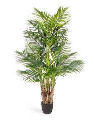 Пальма Арека Бетель в-130 см (Sensitive Botanic) (5 стволов, 20 листов) 2/2