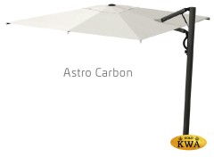 Astro Carbon