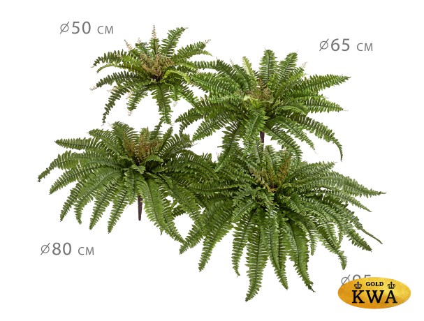 Папоротник Бостон Новый натуральный зеленый в-30 см, д-65 см (33 листа) 6/60
