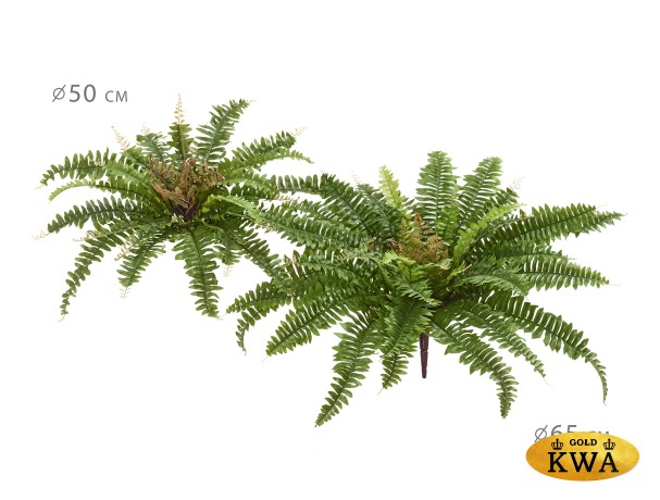 Папоротник Бостон Новый натуральный зеленый в-30 см, д-65 см (33 листа) 6/60
