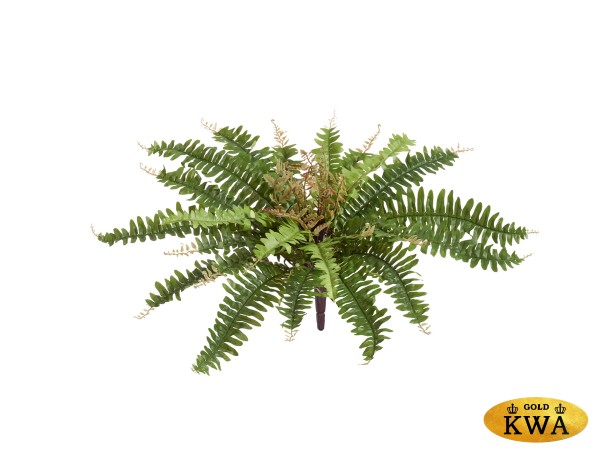 Папоротник Бостон Новый натуральный зеленый в-30 см, д-65 см (33 листа) 6/60