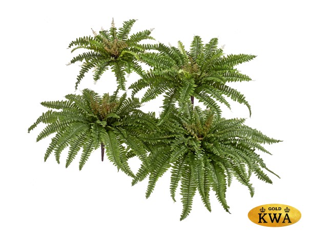 Папоротник Бостон Новый натуральный зеленый в-30 см, д-65 см (33 листа) 6/60