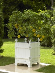 Кашпо деревянное из дуба ручной работы Версальский замок