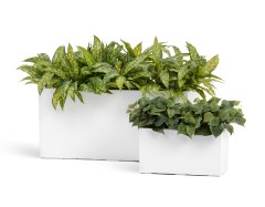 Кашпо TREEZ Effectory Gloss Низкий прямоугольник Белый глянцевый лак д-100, ш-45, в-45 см