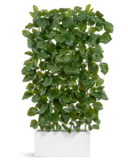 Кашпо TREEZ Effectory Gloss Низкий прямоугольник Белый глянцевый лак д-100, ш-45, в-45 см