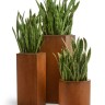 Кашпо TREEZ Effectory Corten Steel Высокий куб Бархатистая окись в-72 см 30х30 см