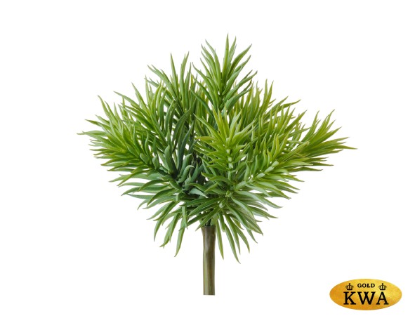 Суккулент Крассула игольчатая куст светло-зелёный в-15, д-20 см 6/96